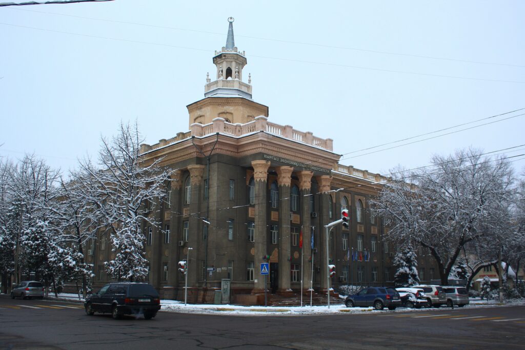 Government IT Services